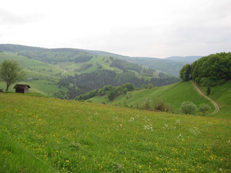 304_2008-05-20_17-42-43_Bild 075