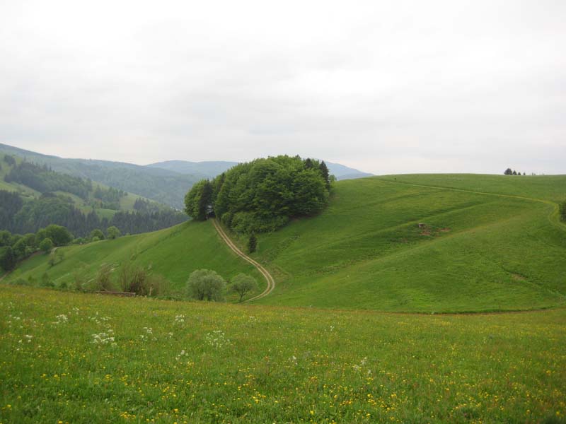 305_2008-05-20_17-42-49_Bild 076