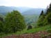 279_2008-05-20_17-11-52_DSC02325