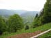 286_2008-05-20_17-25-03_Bild 068