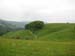 305_2008-05-20_17-42-49_Bild 076