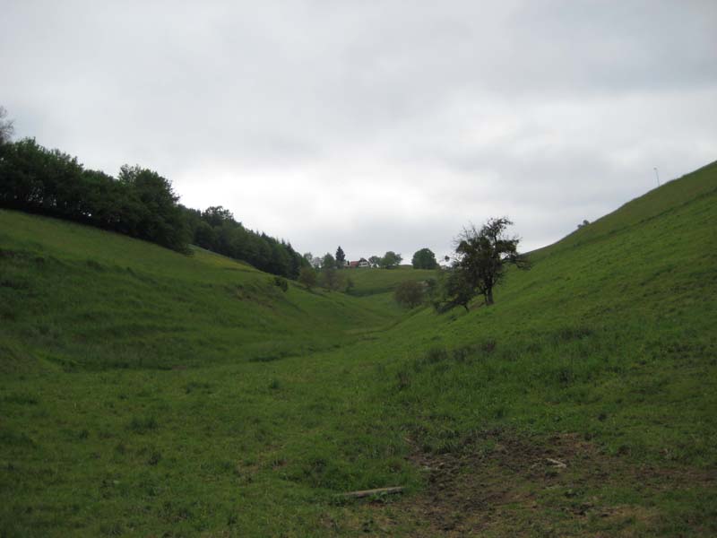 343_2008-05-21_12-08-24_IMG_0970