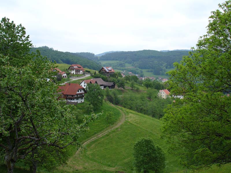 359_2008-05-21_12-30-23_DSC02340