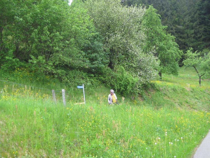 361_2008-05-21_12-34-11_IMG_0976