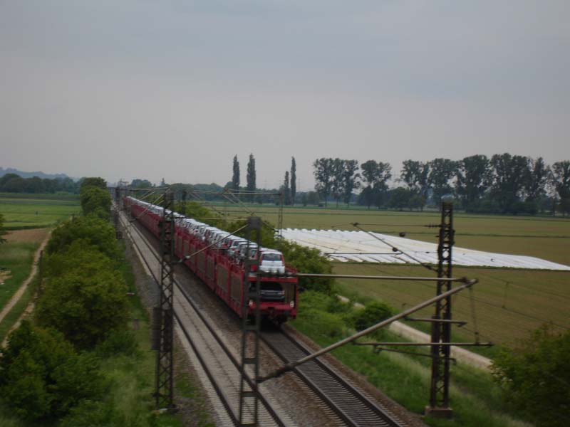 374_2008-05-21_16-51-13_DSC02344