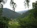 331_2008-05-21_11-11-59_IMG_0966