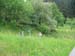 361_2008-05-21_12-34-11_IMG_0976