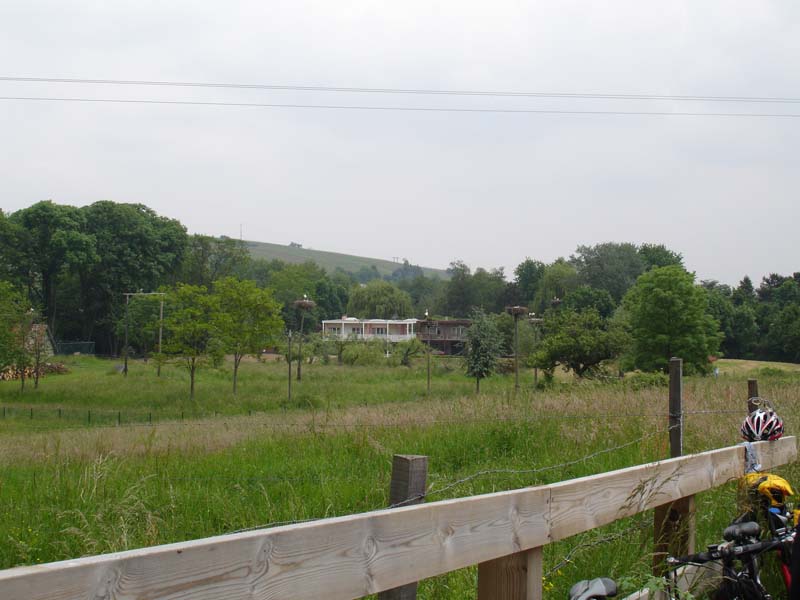 383_2008-05-22_12-08-59_DSC02346