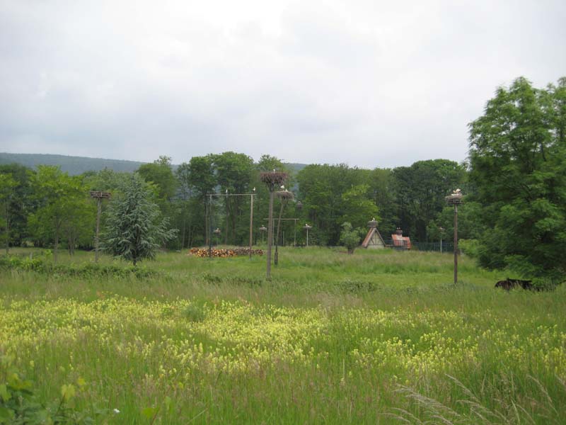 386_2008-05-22_12-12-40_IMG_0990