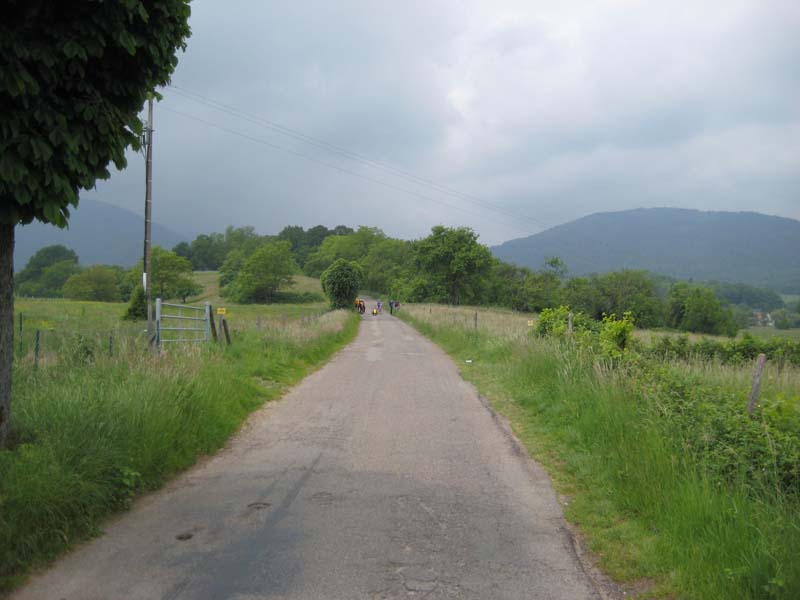 387_2008-05-22_12-12-49_IMG_0991