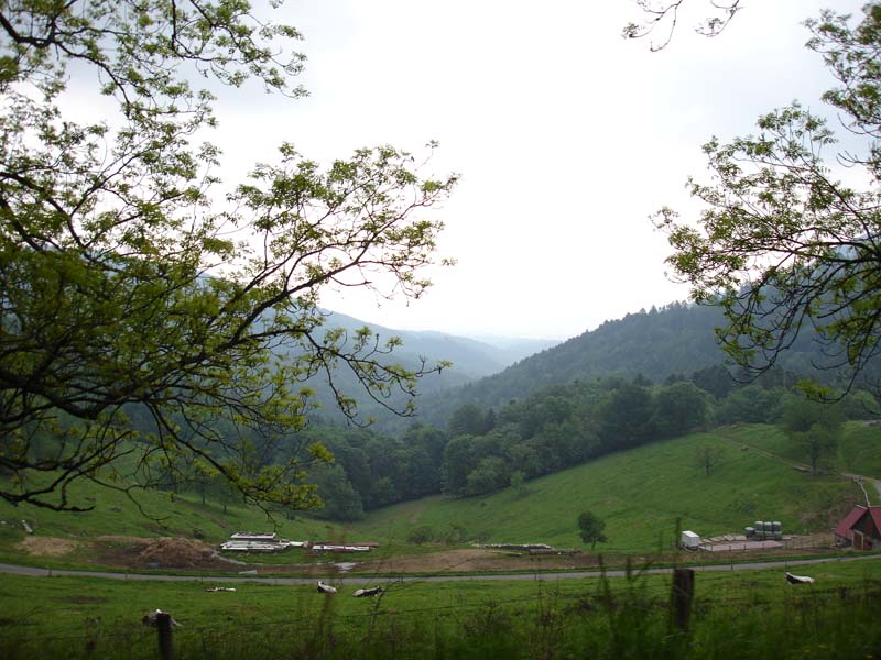 396_2008-05-22_13-11-35_DSC02354