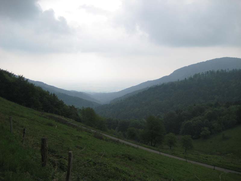 400_2008-05-22_13-16-09_IMG_0994