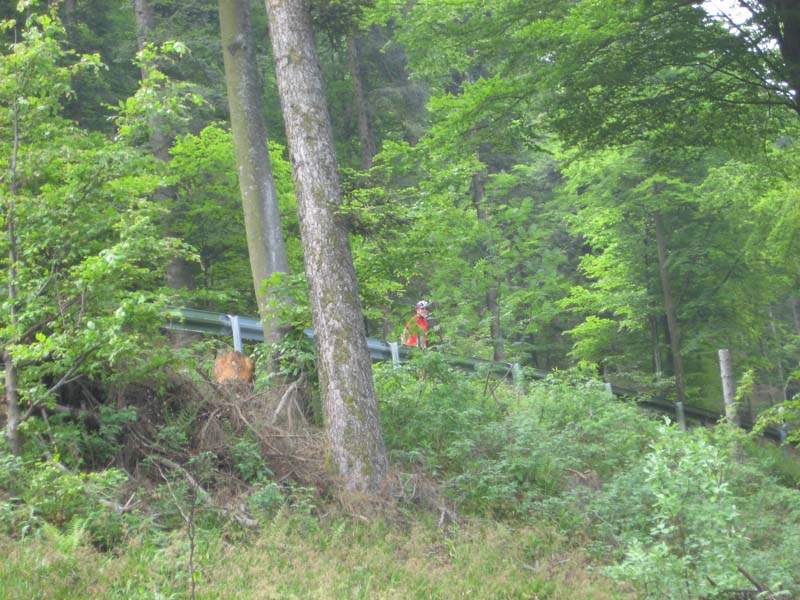 446_2008-05-23_11-17-59_IMG_1009