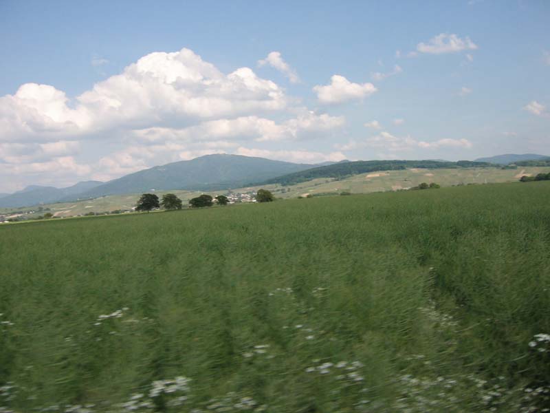 493_2008-05-23_17-19-52_KIF_2826
