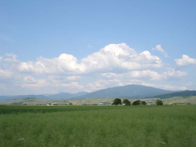 495_2008-05-23_17-20-24_DSC02391
