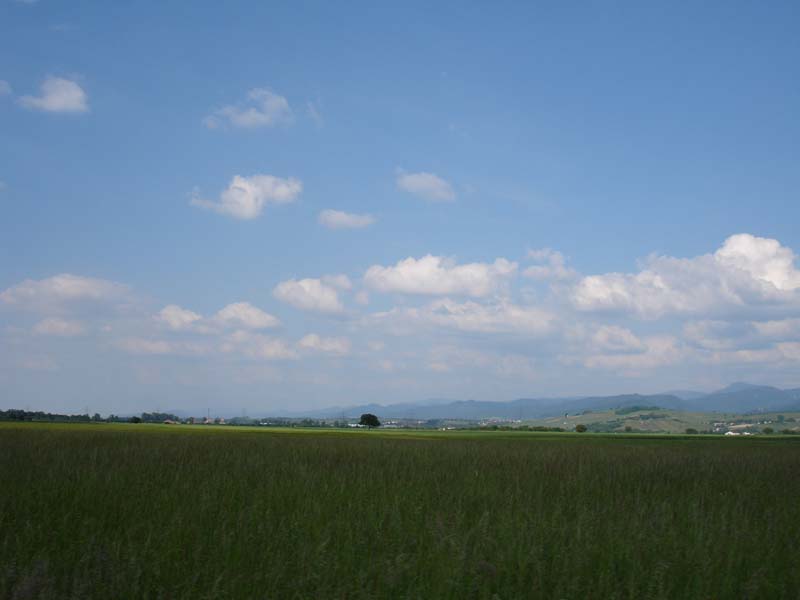 497_2008-05-23_17-20-38_DSC02392