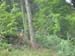 446_2008-05-23_11-17-59_IMG_1009