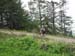 459_2008-05-23_11-42-23_KIF_2809