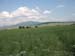 493_2008-05-23_17-19-52_KIF_2826